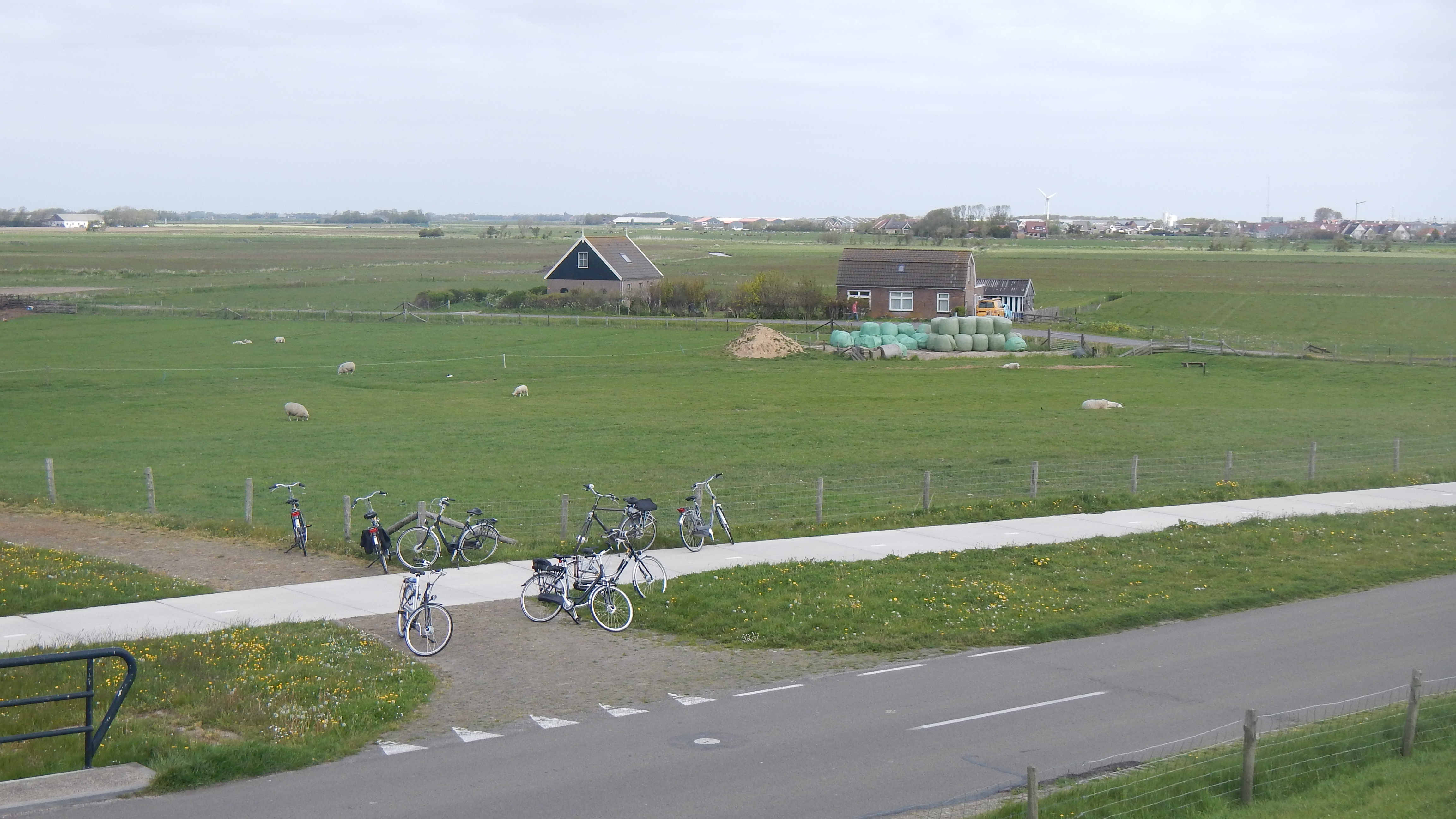 HWK Texel 2015 041.jpg